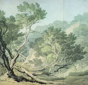 Uitzicht nabij Fordlands, Exeter door John White Abbott